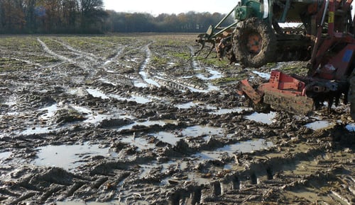 Présence trop importante d’eau en surface