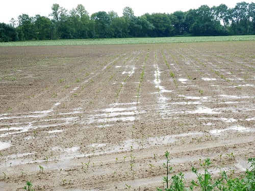 Stagnation de l’eau en surface