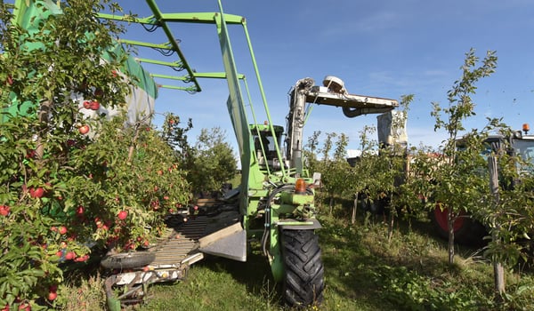 Arboriculture, règles d'or sur le choix et l’impact du pneu agricole