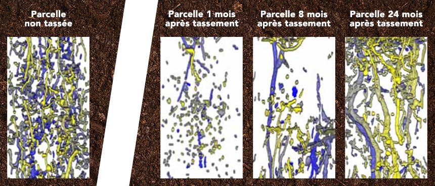 Représentation de la recolonisation naturelle par les vers de terre après un tassement du sol