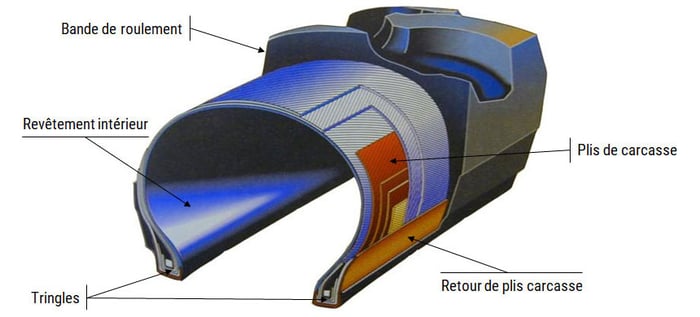 Coupe d’un pneumatique à structure diagonale