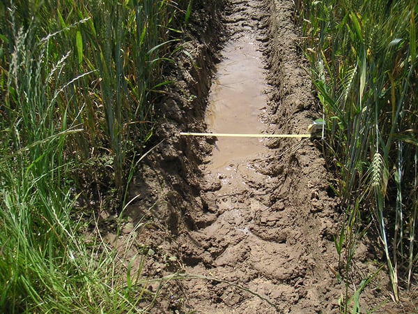 Compaction des sols lié au passage répétitif des pneus de tracteur