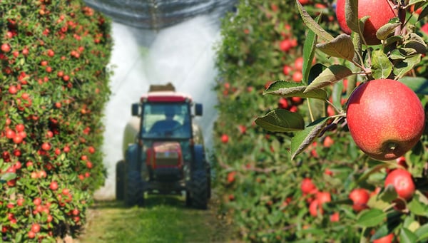 Irrigation des vergers