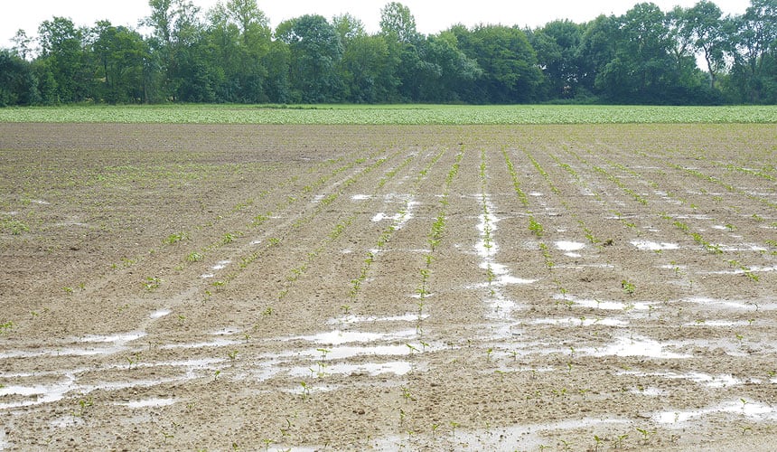 L’excès d’eau en surface