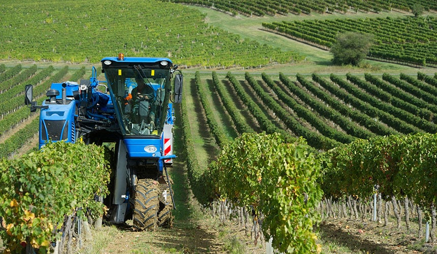 Les pneus vigne ont la capacité de travailler sur de fortes pentes