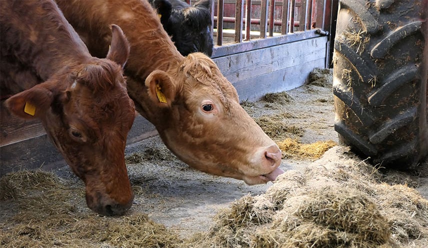 Réglage de pression des pneus agricoles plus élevé pour le sol dur des bâtiments d’élevage