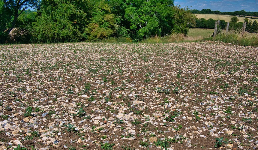 Terre à silex abrasive pour les pneus agricoles