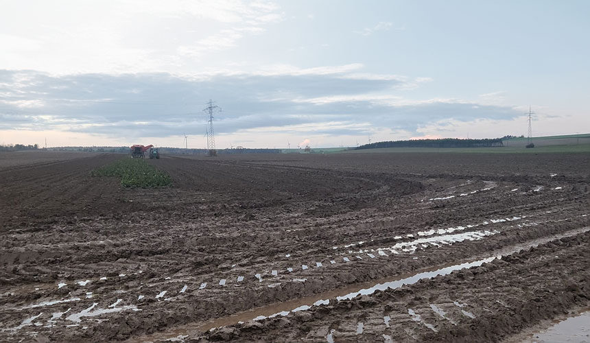 Les terres argileuses deviennent facilement boueuses par temps humide