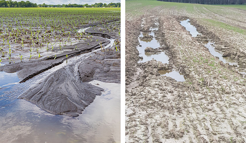 Stagnation de l’eau et ruissellement sur des terres argileuses