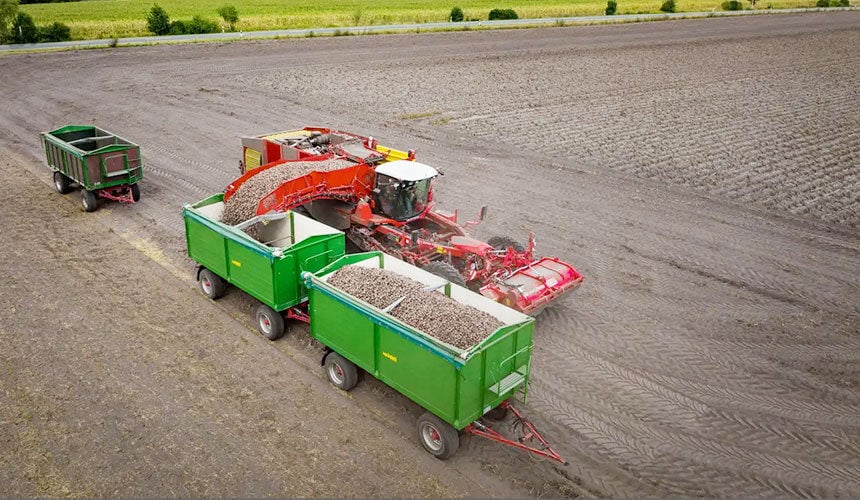 Déchargement de l’arracheuse de pommes de terre en limite de parcelle