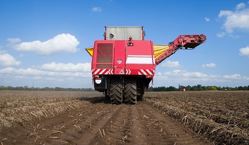 Les pneus Maxi Traction Harvest permettent de baisser la pression malgré la charge de l’arracheuse de patates