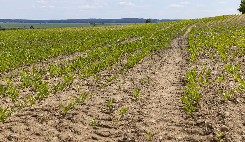 Des pneus inadaptés accentuent le phénomène de tassement
