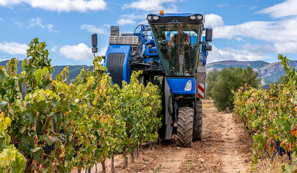 Pneus vigne : pourquoi choisir un pneu adapté à la viticulture ?