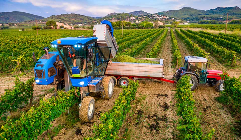 Pneus vignes pour éviter le tassement de sol