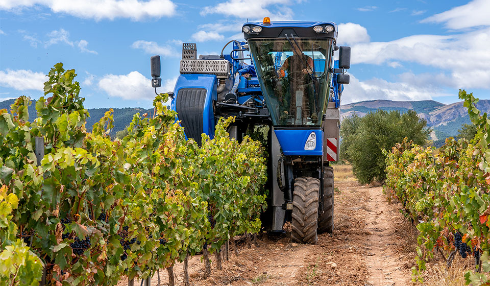 Pneus vignes pour éviter le tassement de sol